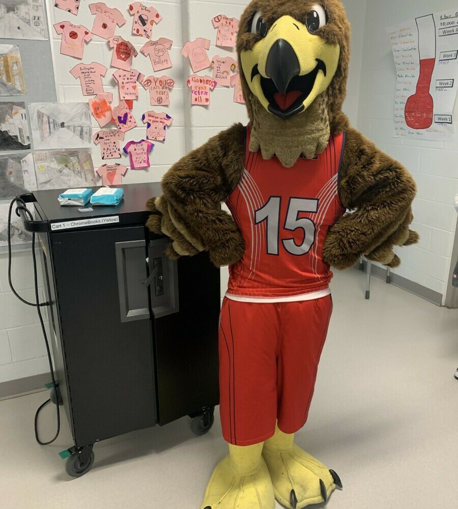 Fireside School Mascot Skylar